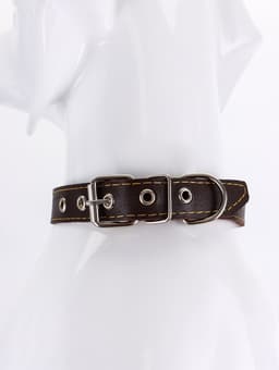 Ошейник «Красотка», 60×2.5 см, однослойный, тиснение фольгой, кожа, цвет МИКС