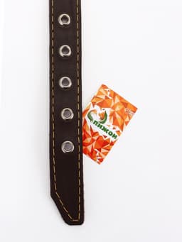 Ошейник «Красавчик», 60×2.5 см, однослойный, тиснение фольгой, кожа, цвет МИКС