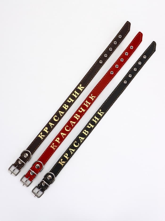 Ошейник «Красавчик», 60×2.5 см, однослойный, тиснение фольгой, кожа, цвет МИКС