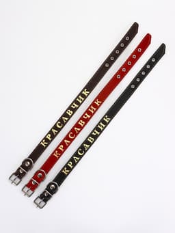 Ошейник «Красавчик», 60×2.5 см, однослойный, тиснение фольгой, кожа, цвет МИКС