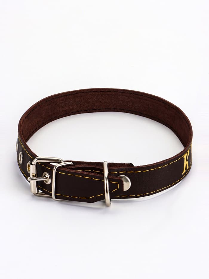 Ошейник «Красавчик», 60×2.5 см, однослойный, тиснение фольгой, кожа, цвет МИКС