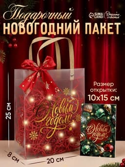 Пакет подарочный «Новый год», тиснение, с наполнителем, лентой и гирляндой, 20×8×25 см