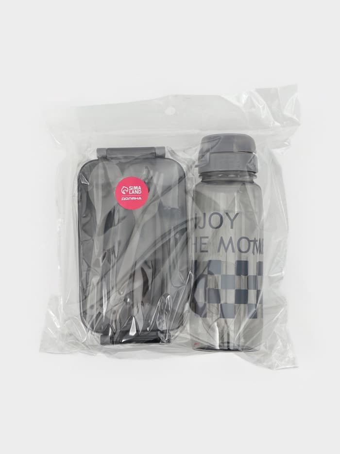 Набор посуды с собой Доляна, 4 предмета: бутылка 500 мл, ланч - бокс 450 мл, вилка, ложка, пластик, серый