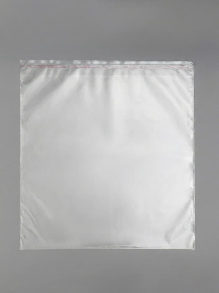 Пакет с клеевым клапаном, 52×52×4 см