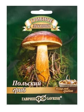 Мицелий грибов «Польский гриб», на зерновом субстрате, 15 мл, «Гавриш»