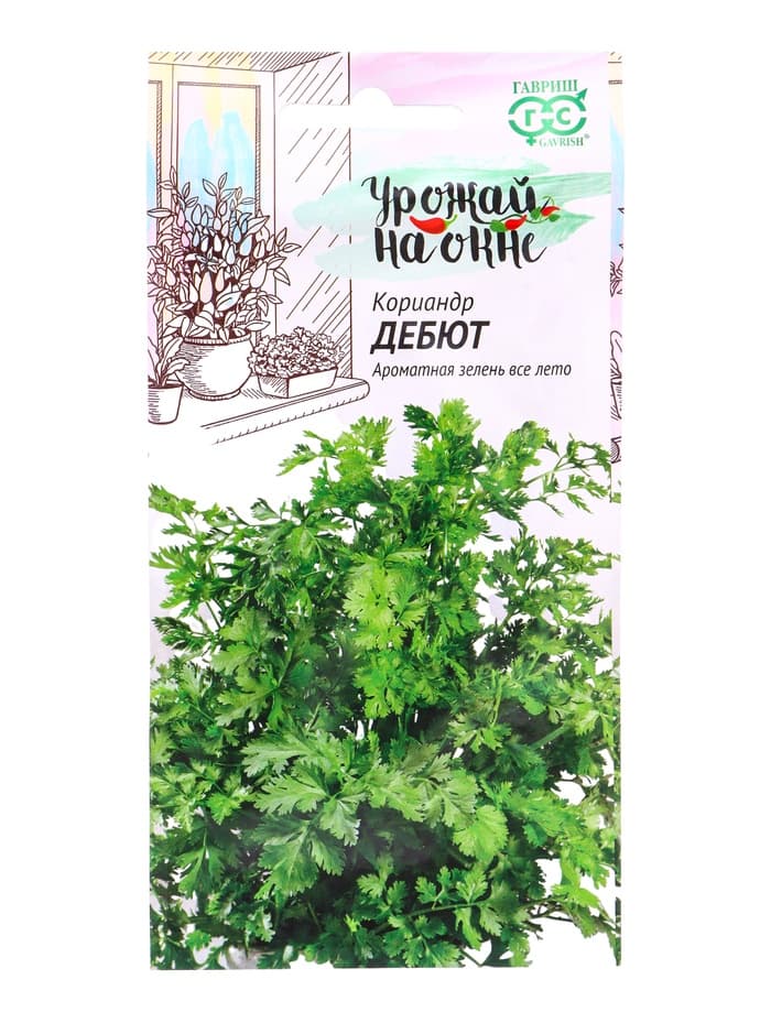 Семена Кориандр «Дебют», 2 г, «Гавриш»