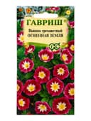 Семена цветов Вьюнок трехцветный Огненная земля 0,5 г