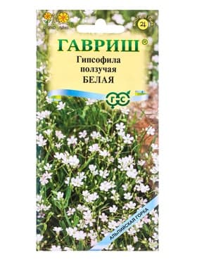 Семена цветов Гипсофила ползучая, Белая* 0,05 г