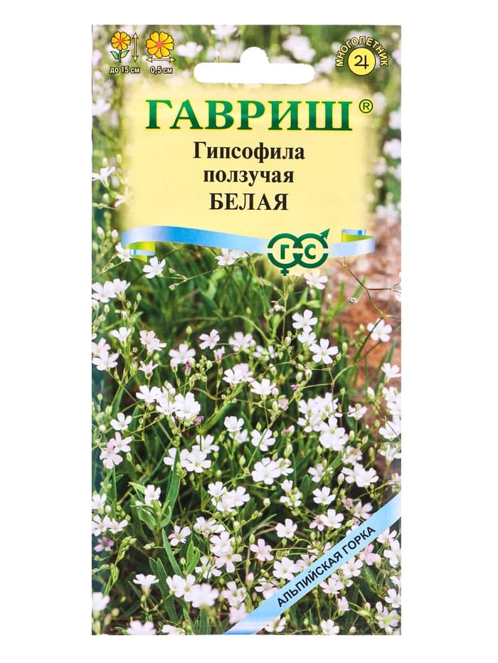 Семена цветов Гипсофила ползучая, Белая* 0,05 г