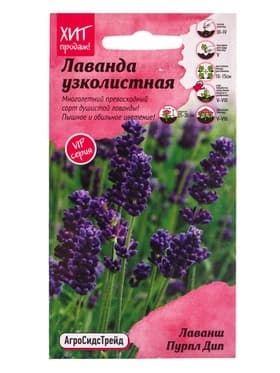 Семена цветов Лаванда узколистная Лаванш Пурпл Дип 6 шт.