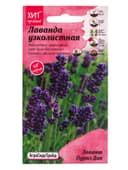 Семена цветов Лаванда узколистная Лаванш Пурпл Дип 6 шт.