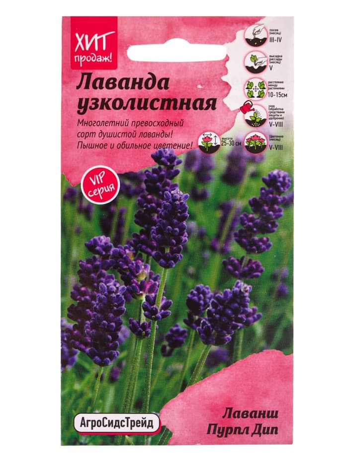Семена цветов Лаванда узколистная Лаванш Пурпл Дип 6 шт.