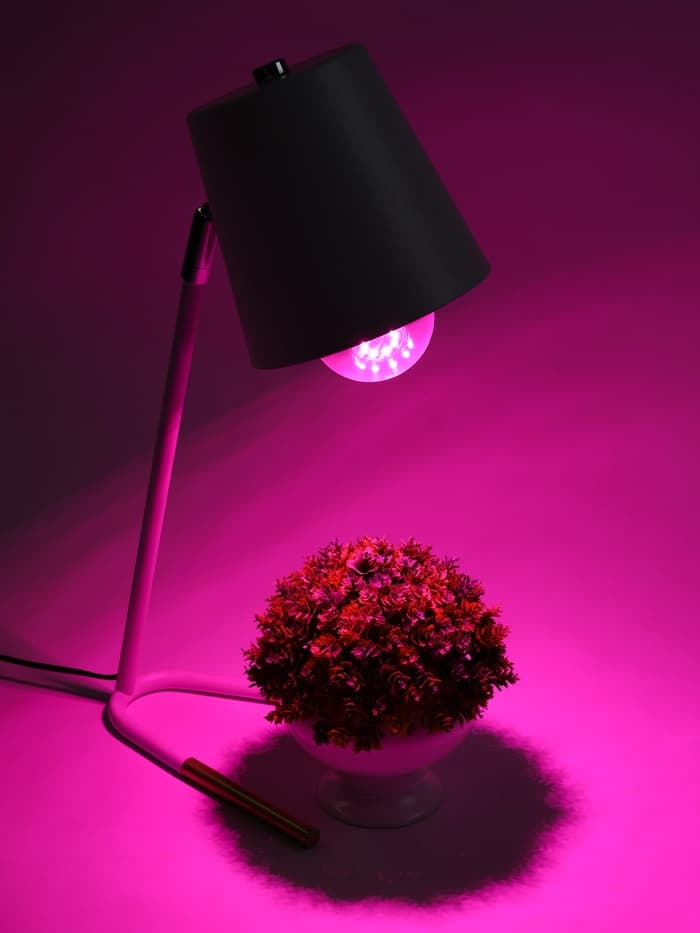 Фитолампа для растений VKL Electric, A65, 10 Вт, E27, IP20, красно-синий спектр