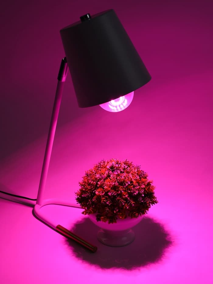 Фитолампа для растений VKL Electric, A65, 15 Вт, E27, IP20, красно-синий спектр