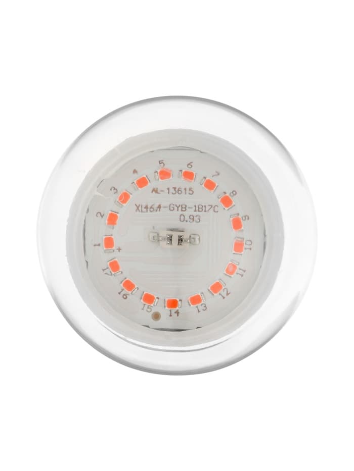 Фитолампа для растений VKL Electric, A65, 15 Вт, E27, IP20, красно-синий спектр