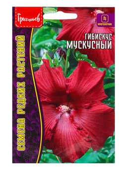 Семена цветов Гибискус Мускусный 5 шт. 12.29 г.