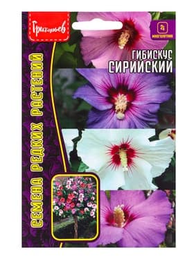 Семена цветов Гибискус «Сирийский», 7 шт. «Григорьев»