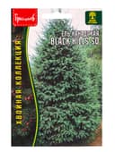 Семена Ель канадская Black Hills SD, 10 шт., «Григорьев»