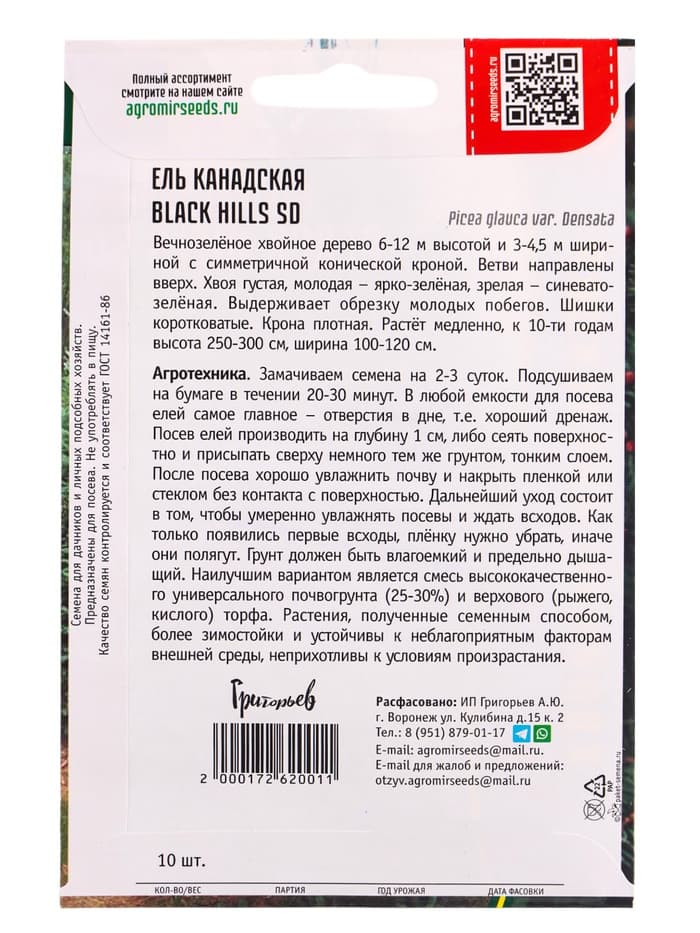 Семена Ель канадская Black Hills SD, 10 шт., «Григорьев»