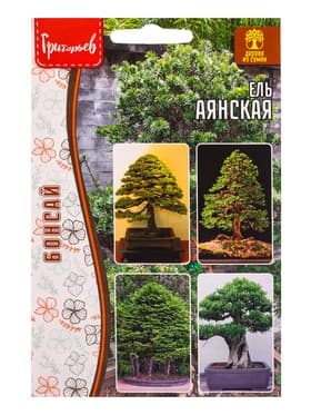 Семена Ель «Аянская», 10 шт., «Григорьев»