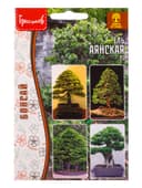 Семена Ель «Аянская», 10 шт., «Григорьев»
