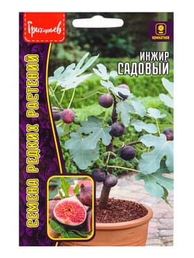 Семена Инжир Садовый «Фиговое дерево», 30 шт., «Григорьев»