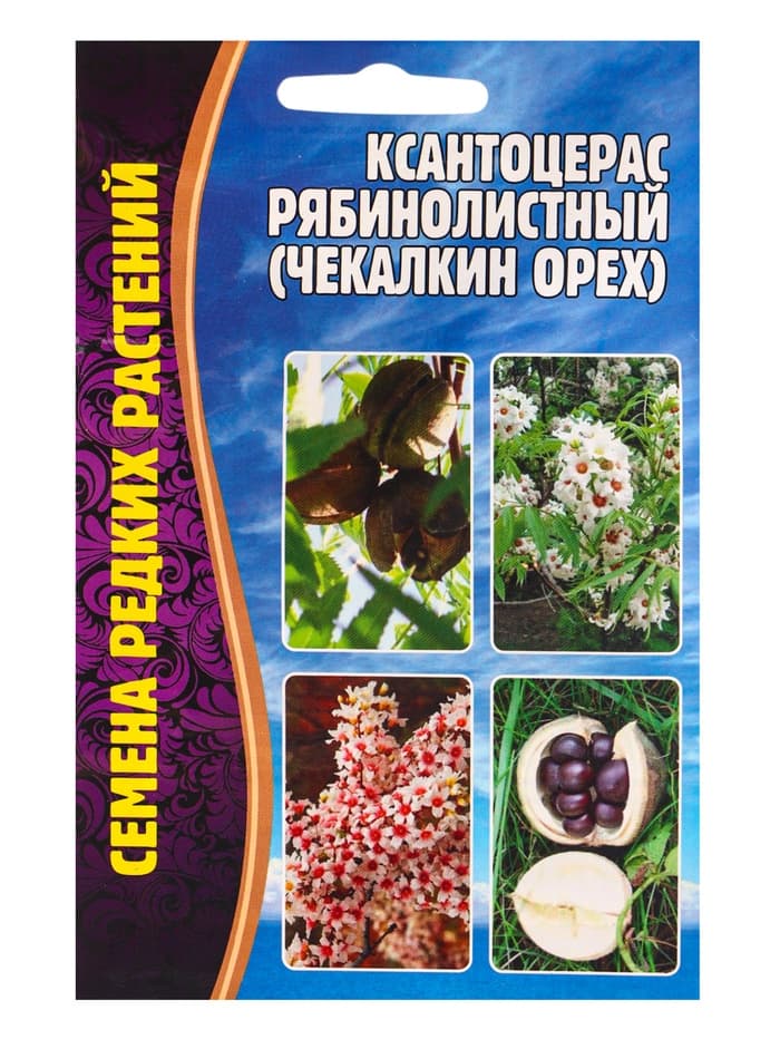 Семена Ксантоцерас «Рябинолистный», «Чекалкин орех», 2 шт., «Григорьев»