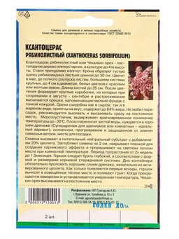 Семена Ксантоцерас «Рябинолистный», «Чекалкин орех», 2 шт., «Григорьев»