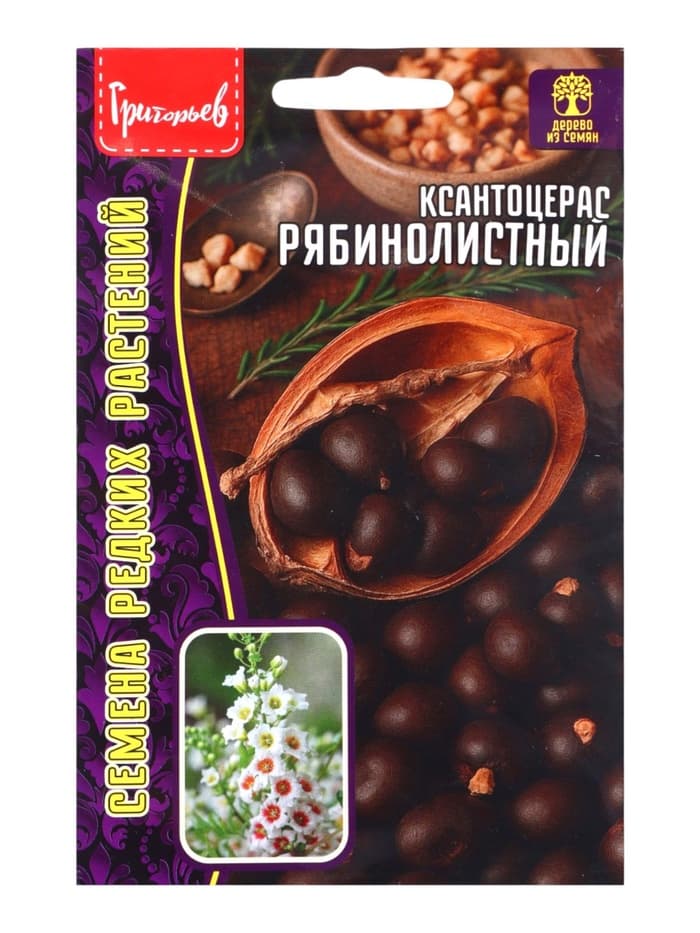 Семена Ксантоцерас «Рябинолистный», «Чекалкин орех», 2 шт., «Григорьев»
