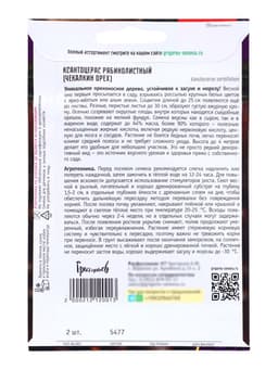Семена Ксантоцерас «Рябинолистный», «Чекалкин орех», 2 шт., «Григорьев»
