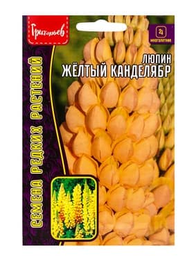 Семена цветов Люпин Жёлтый Канделябр многолетний  14 шт.  12.29 г.
