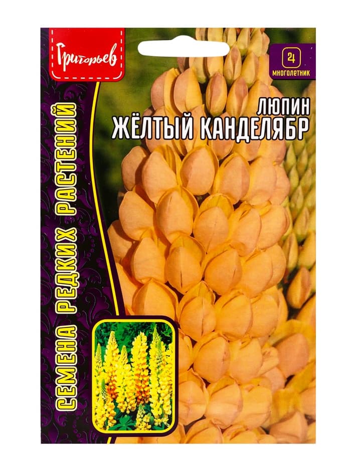 Семена цветов Люпин Жёлтый Канделябр многолетний  14 шт.  12.29 г.