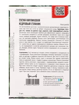 Семена Сосна карликовая «Кедровый Стлани», 5 шт., «Григорьев»