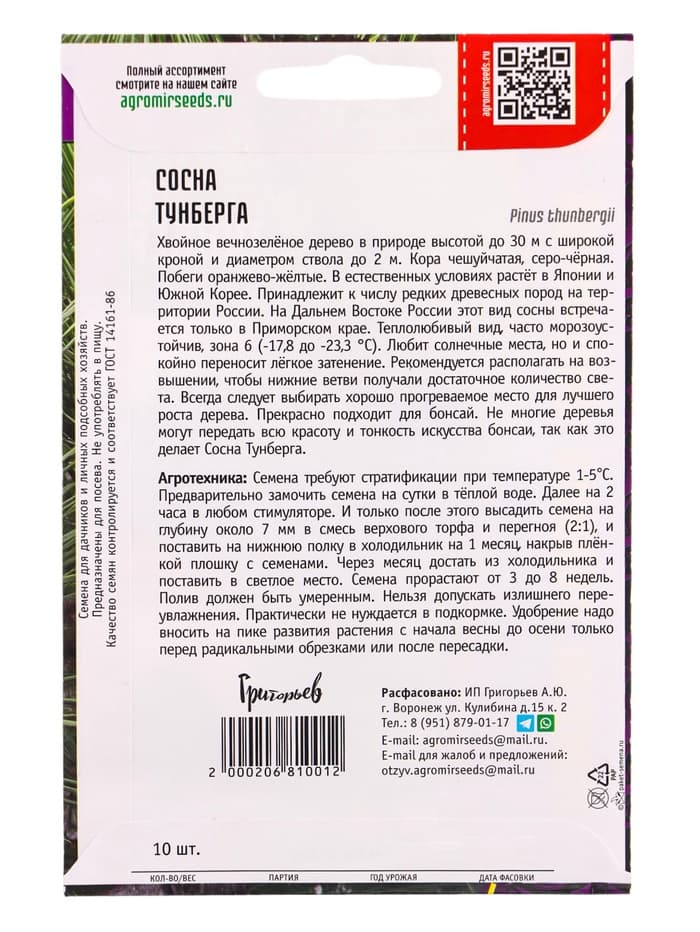 Семена Сосна «Тунберга», 10 шт., «Григорьев»