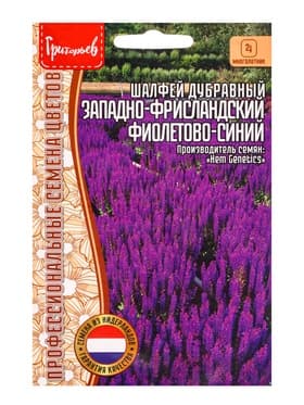 Семена Шалфей Западно-Фрисландский Фиолетово-Синий дубравный (West-Friesland Violet Blue) 20шт.  12.