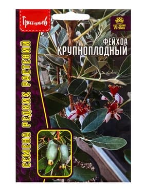 Семена Фейхоа Крупноплодный 7 шт. 12.29 г.
