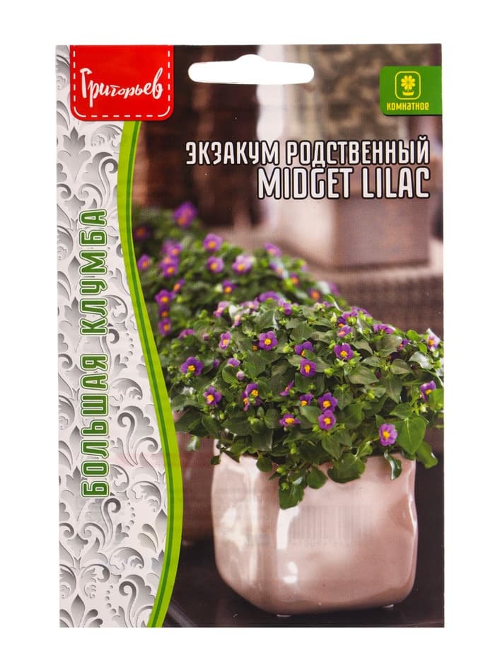 Семена Экзакум родственный Midget Lilac, 10 шт., «Григорьев»