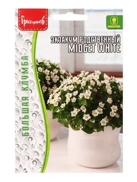 Семена Экзакум родственный Midget White, 10 шт., «Григорьев»