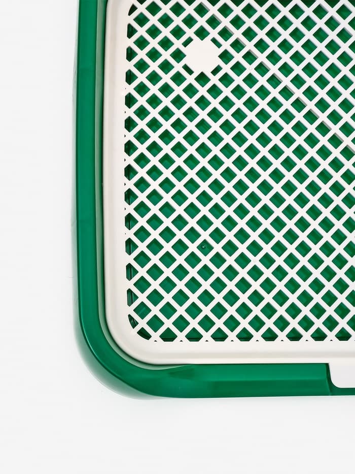 Туалет для собак, 46.5×36×5.5 см, со съёмной решеткой и столбиком, зелёный