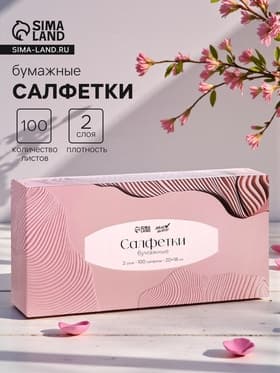Салфетки бумажные в коробке Мой Выбор, 20×18 см, 2 слоя, 100 листов