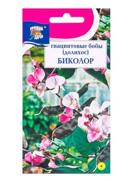 Семена цветов Бобы Гиацинтовые (Долихос) Биколор 1 г.