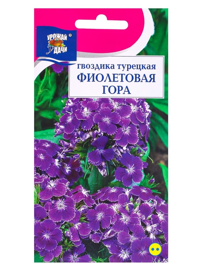 Семена цветов Гвоздика Турецкая Фиолетовая гора 0,2 г.