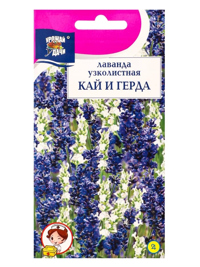 Семена цветов Лаванда КАЙ и ГЕРДА 5 шт.