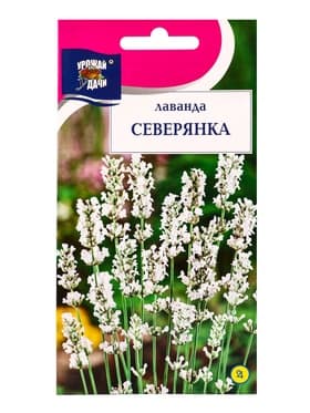Семена цветов Лаванда «Северянка», 5 шт., «УРОЖАЙ УДАЧИ»