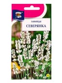 Семена цветов Лаванда «Северянка», 5 шт., «УРОЖАЙ УДАЧИ»