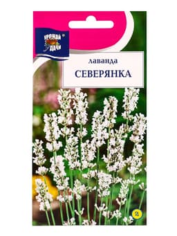 Семена цветов Лаванда «Северянка», 5 шт., «УРОЖАЙ УДАЧИ»