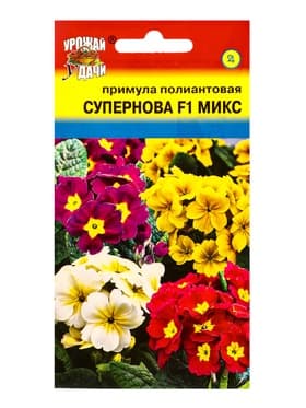 Семена цветов Примула Полиантовая Супернова F1 Микс 3 шт.