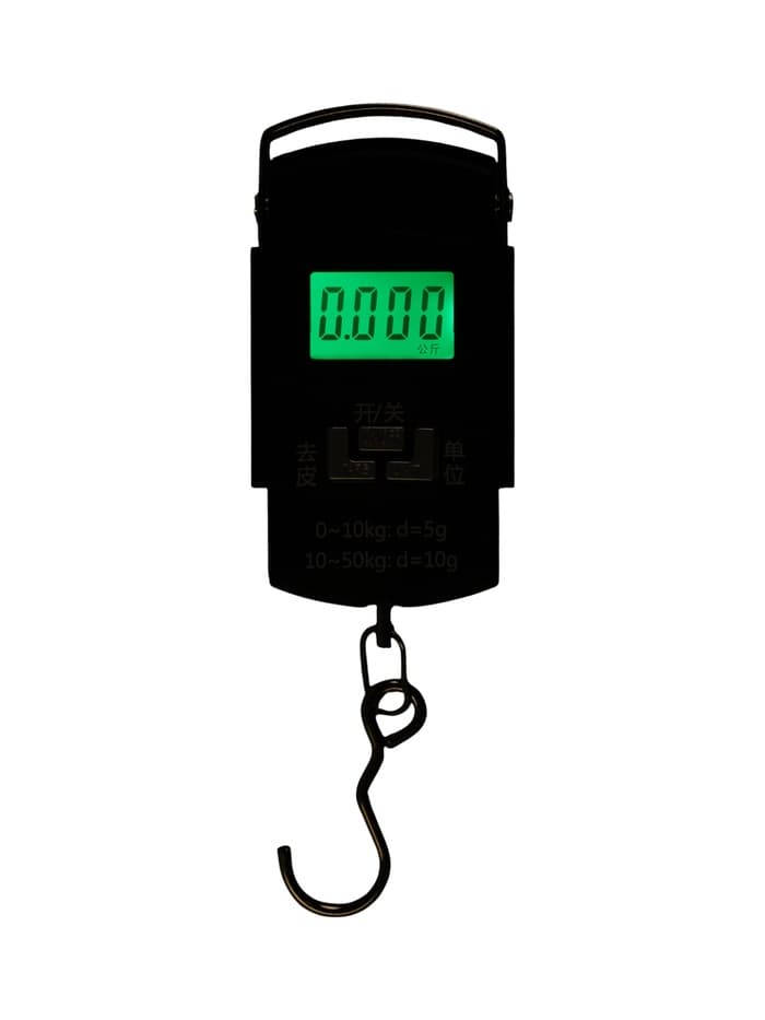 Весы - безмен LV-505, электронные, до 50 кг, точность до 10 г, подсветка, чёрные