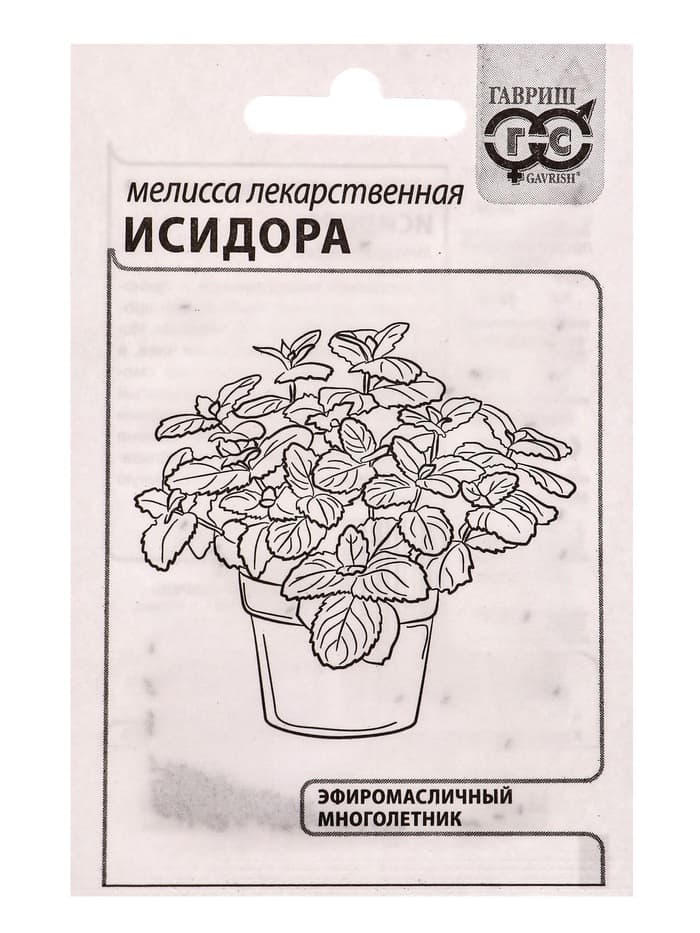 Набор семян Зелень пряная, 10 шт.