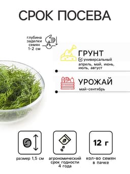 Набор семян Укроп/Петрушка, 6 сортов, 12 г, «Аэлита»